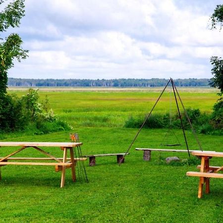 Wilcza Nora - Pole Biwakowe Dolistowo Nowe Exterior photo